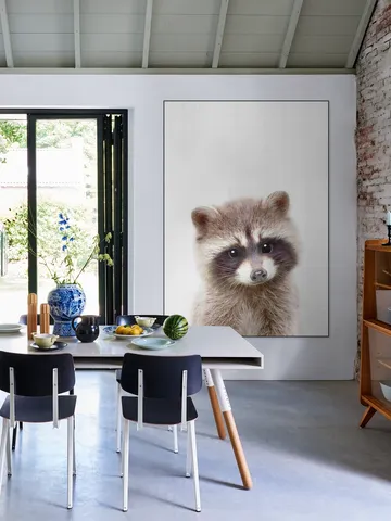 Raccoon