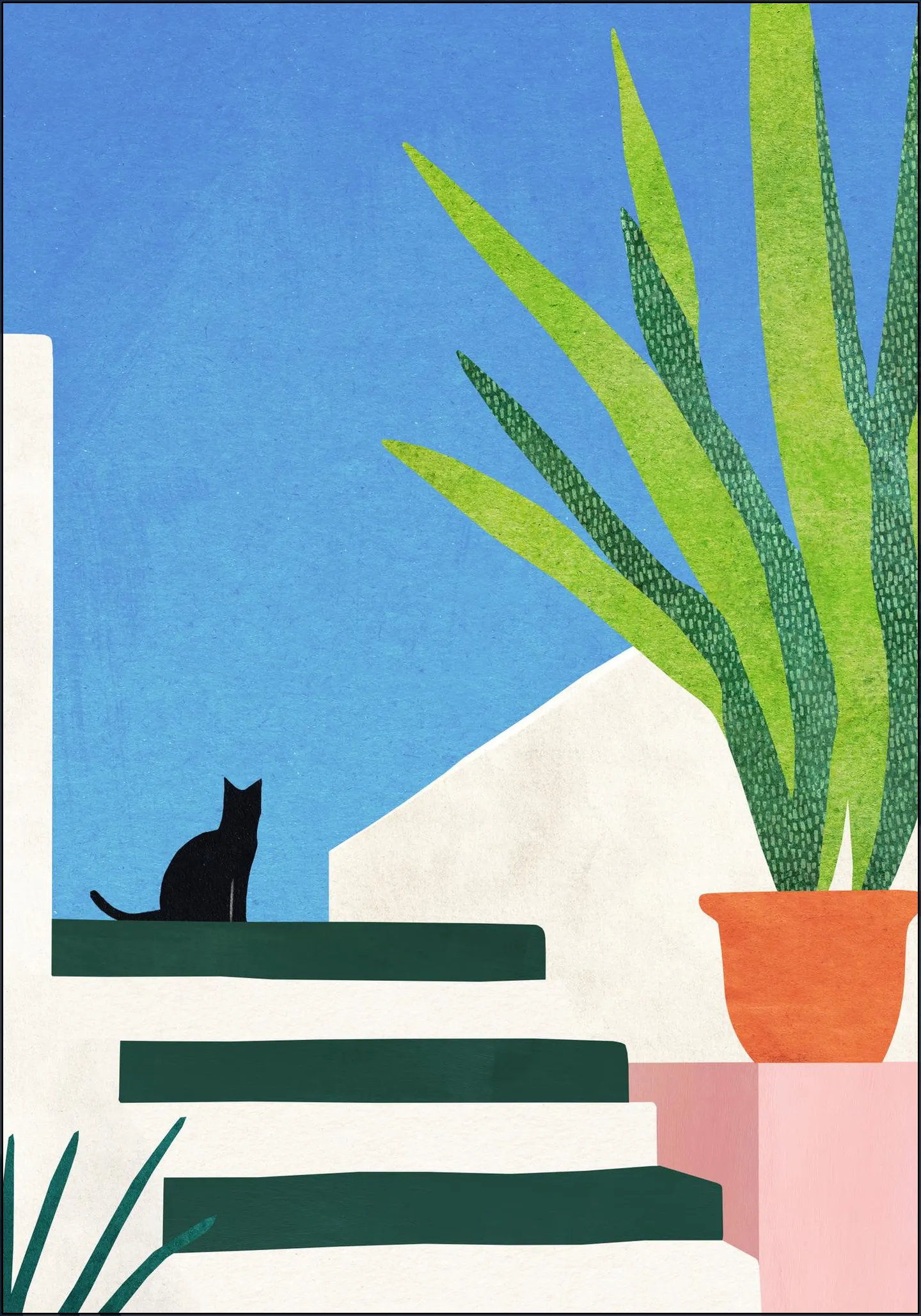 Cat on Greek Island