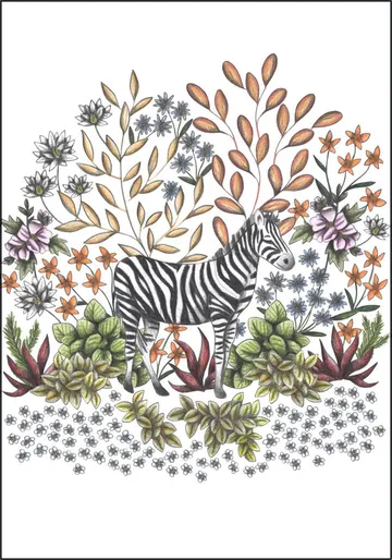 Safari Zebra
