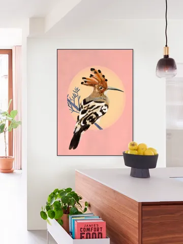Hoopoe