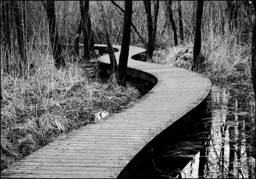 Moerputten in Den Bosch