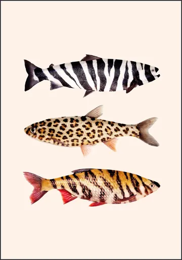 Fish Prints