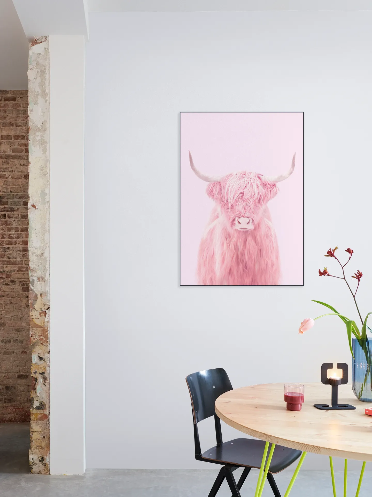 Highland Cow