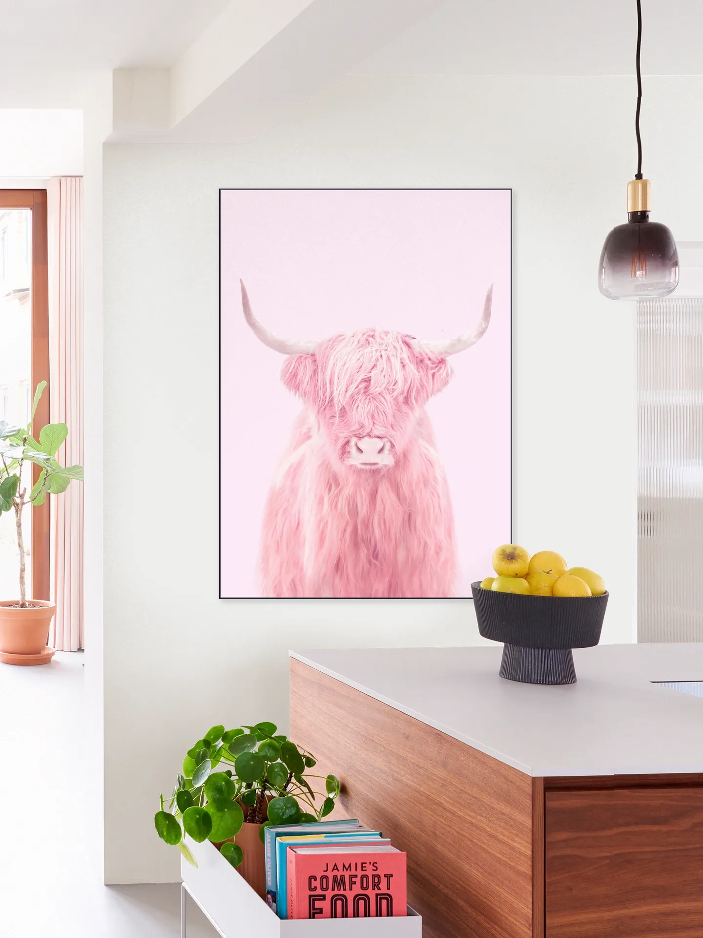 Highland Cow