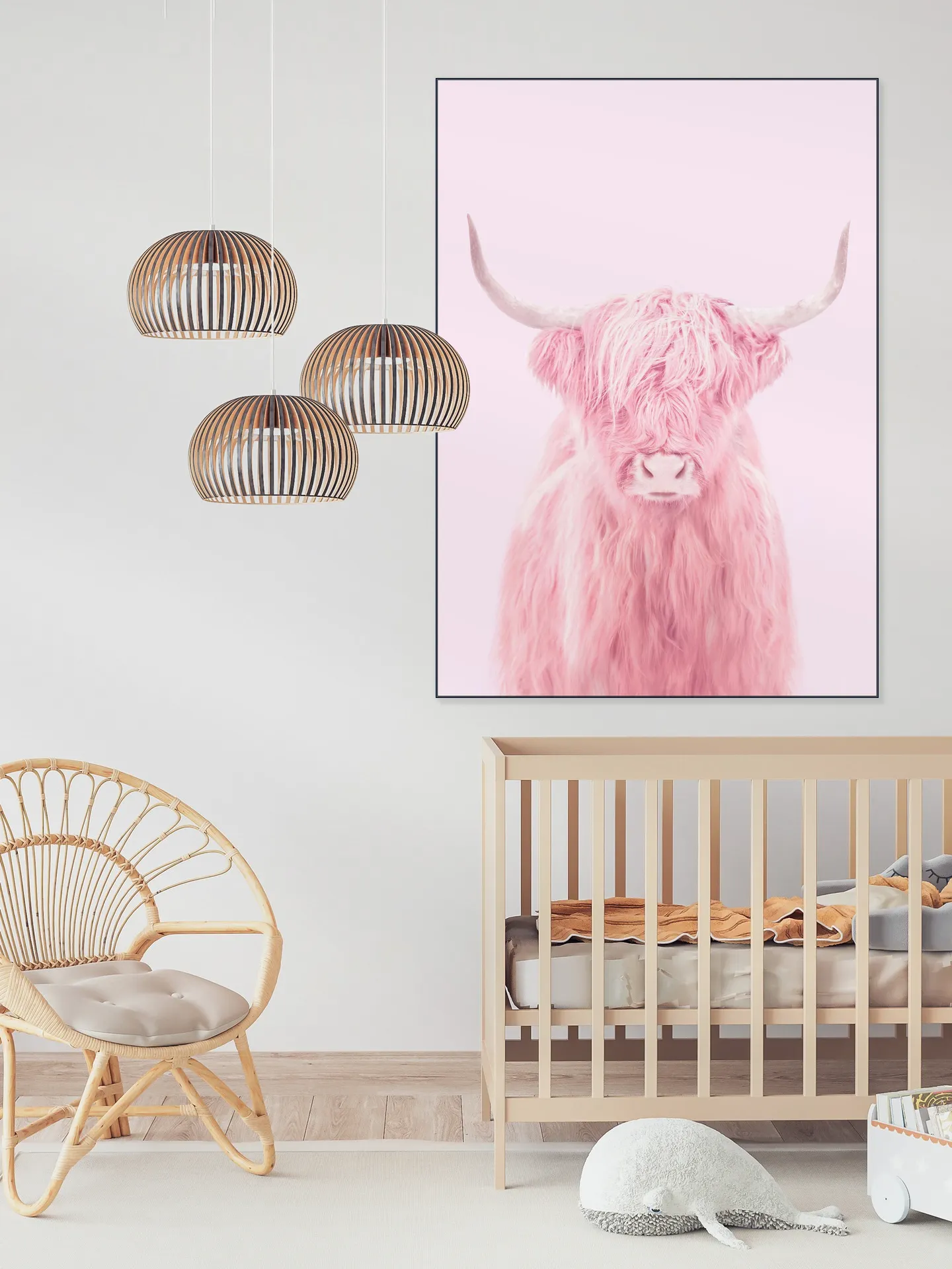 Highland Cow