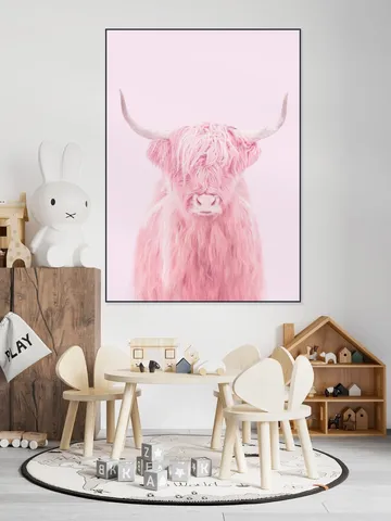 Highland Cow