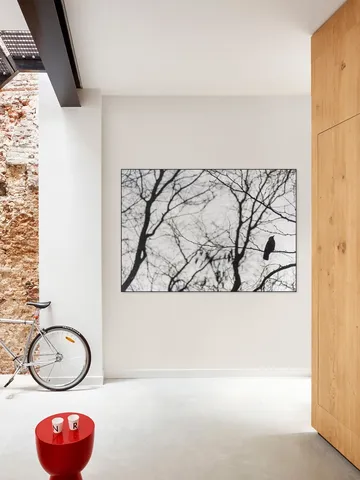 Birds in a Tree