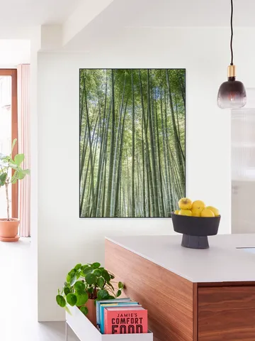 Bamboo Forest