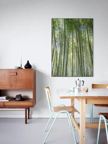 Bamboo Forest