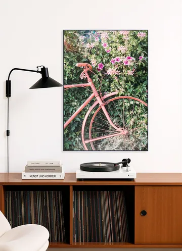 Pink Bicycle