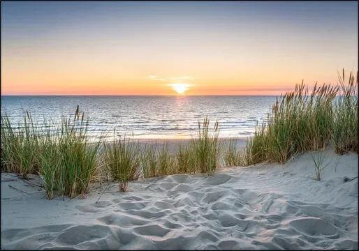 Beautiful sunset at the beach