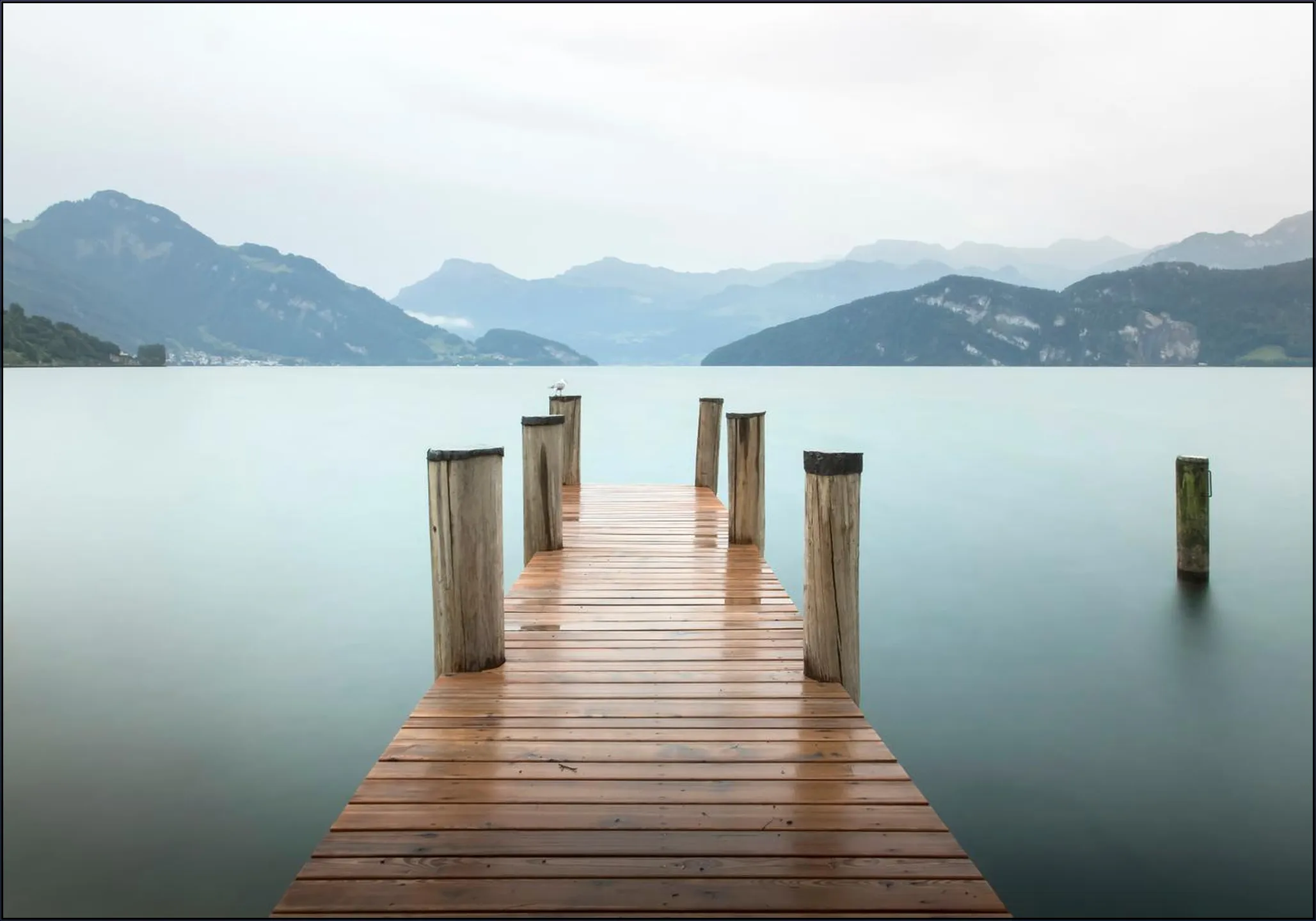A Silent Moment at the Lake