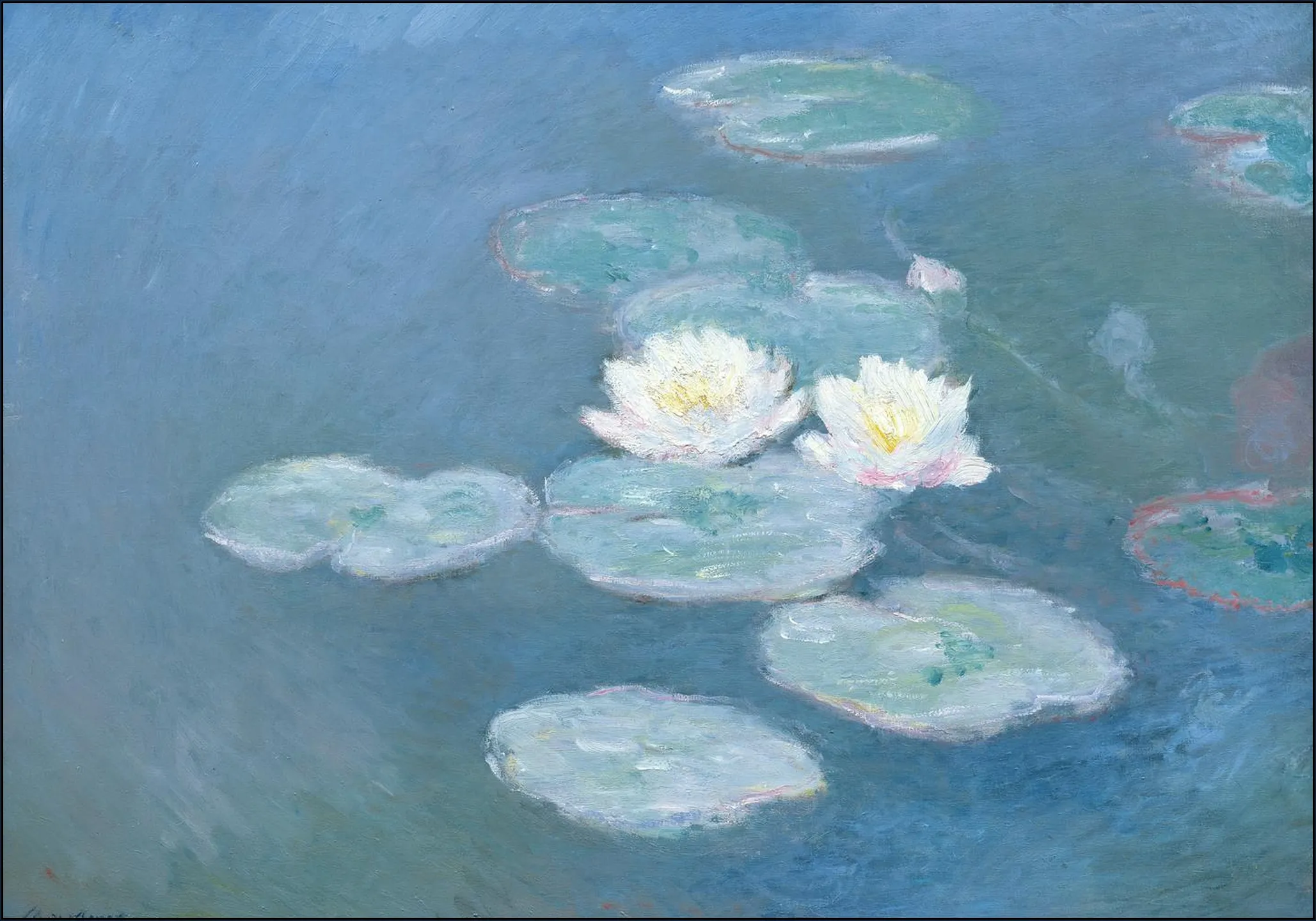 Waterlilies Evening