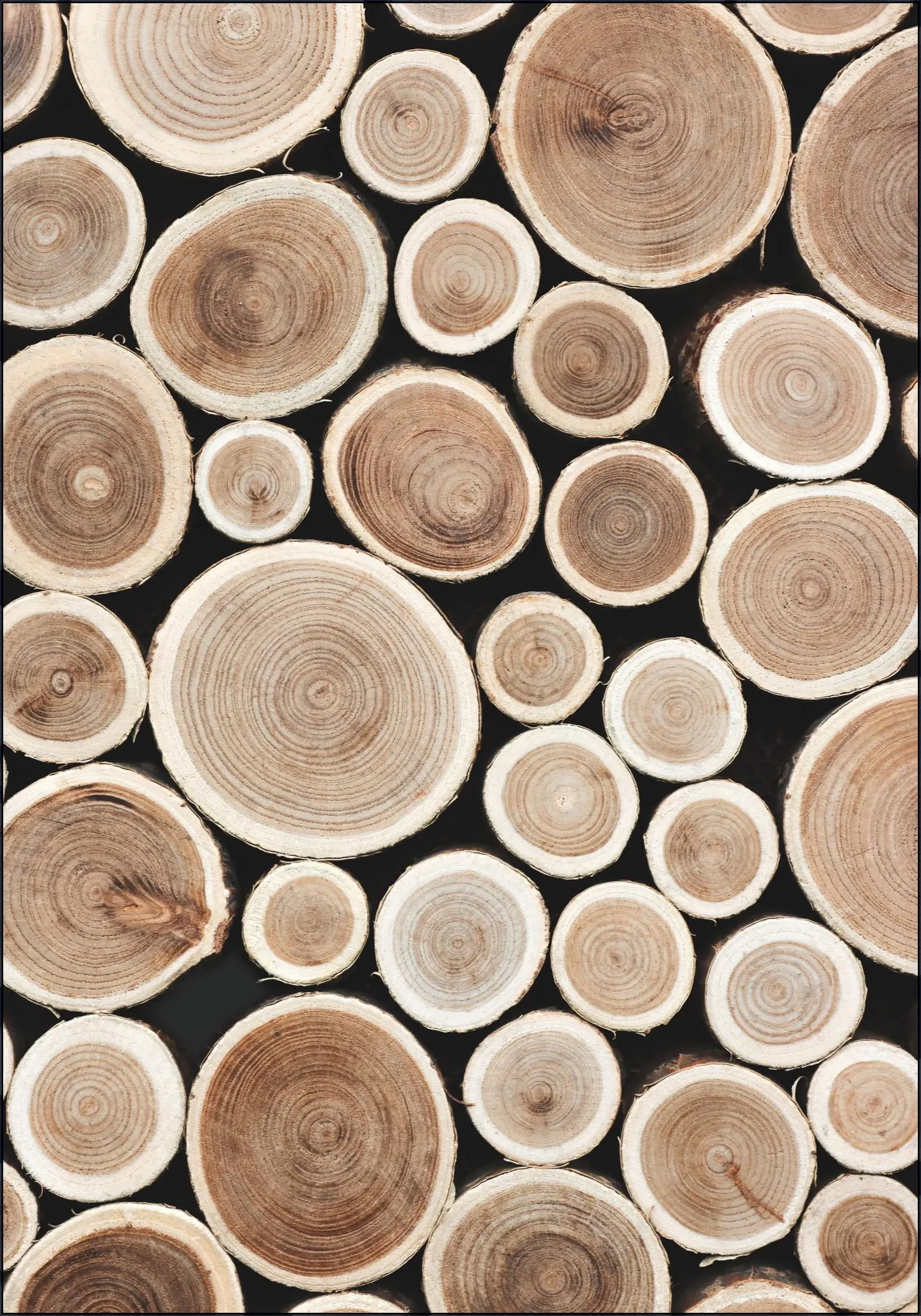 Cut Timber