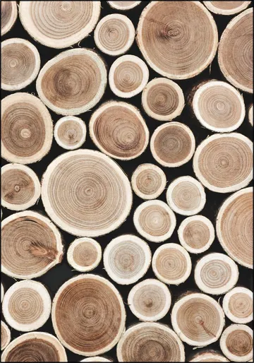 Cut Timber