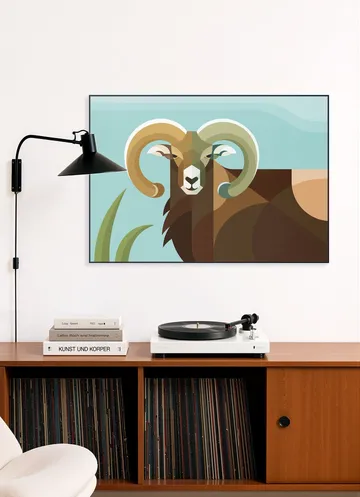 Mouflon
