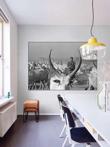 Dinka Cows with Pastor