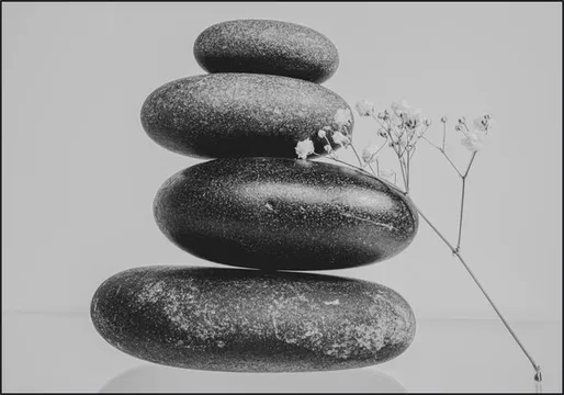 Balanced Zen