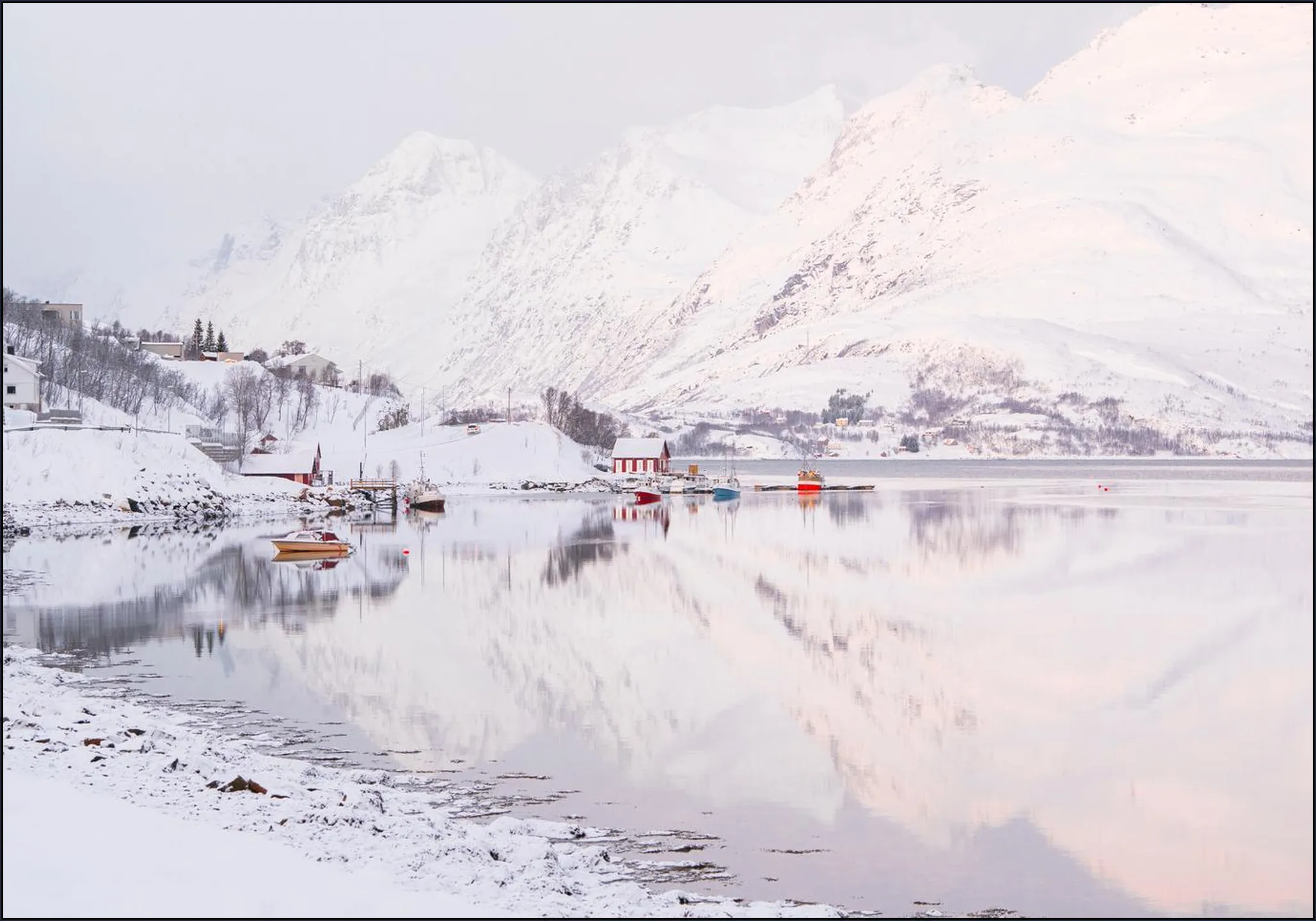 Arctic Reflections