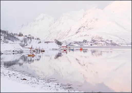 Arctic Reflections