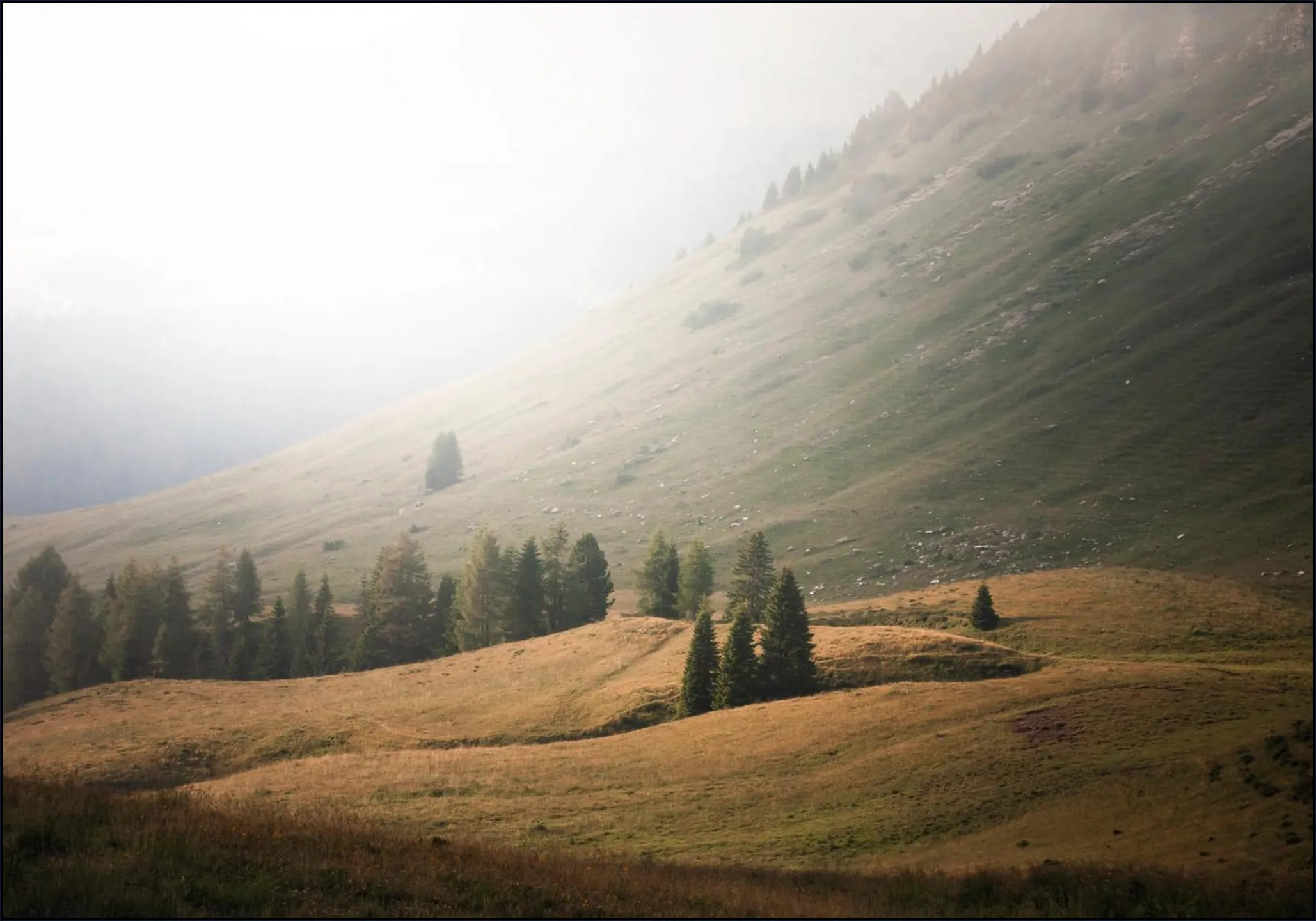Hills of Trentino