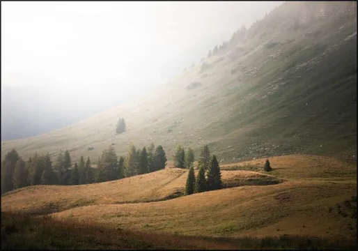 Hills of Trentino