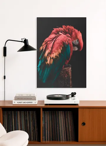 Bashful Beauty Parrot