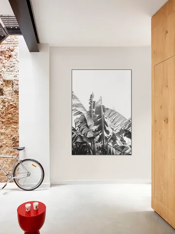 Banana Tree