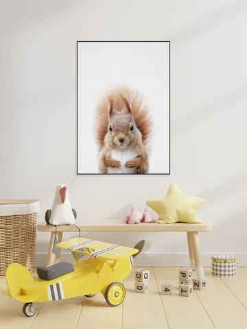 Squirrel