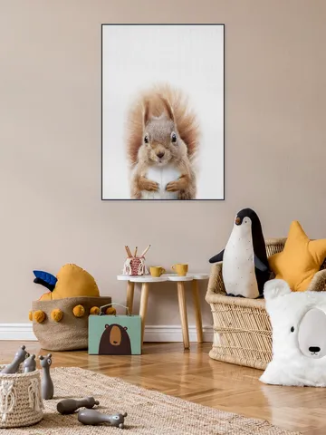 Squirrel