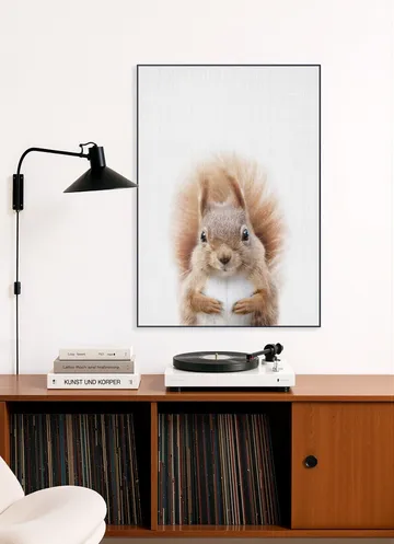 Squirrel