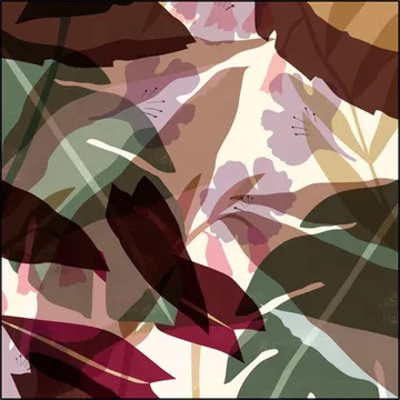 Leaves Autumn