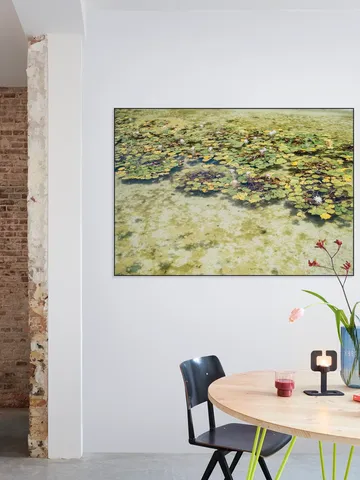 Green Water Lilies