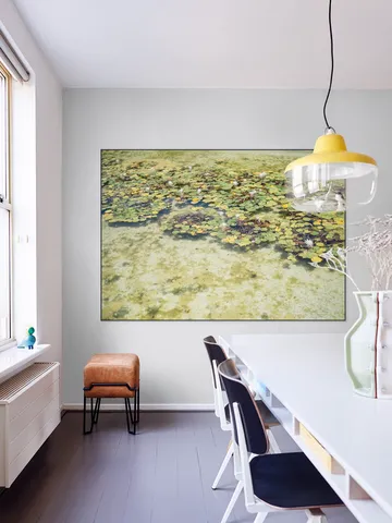 Green Water Lilies