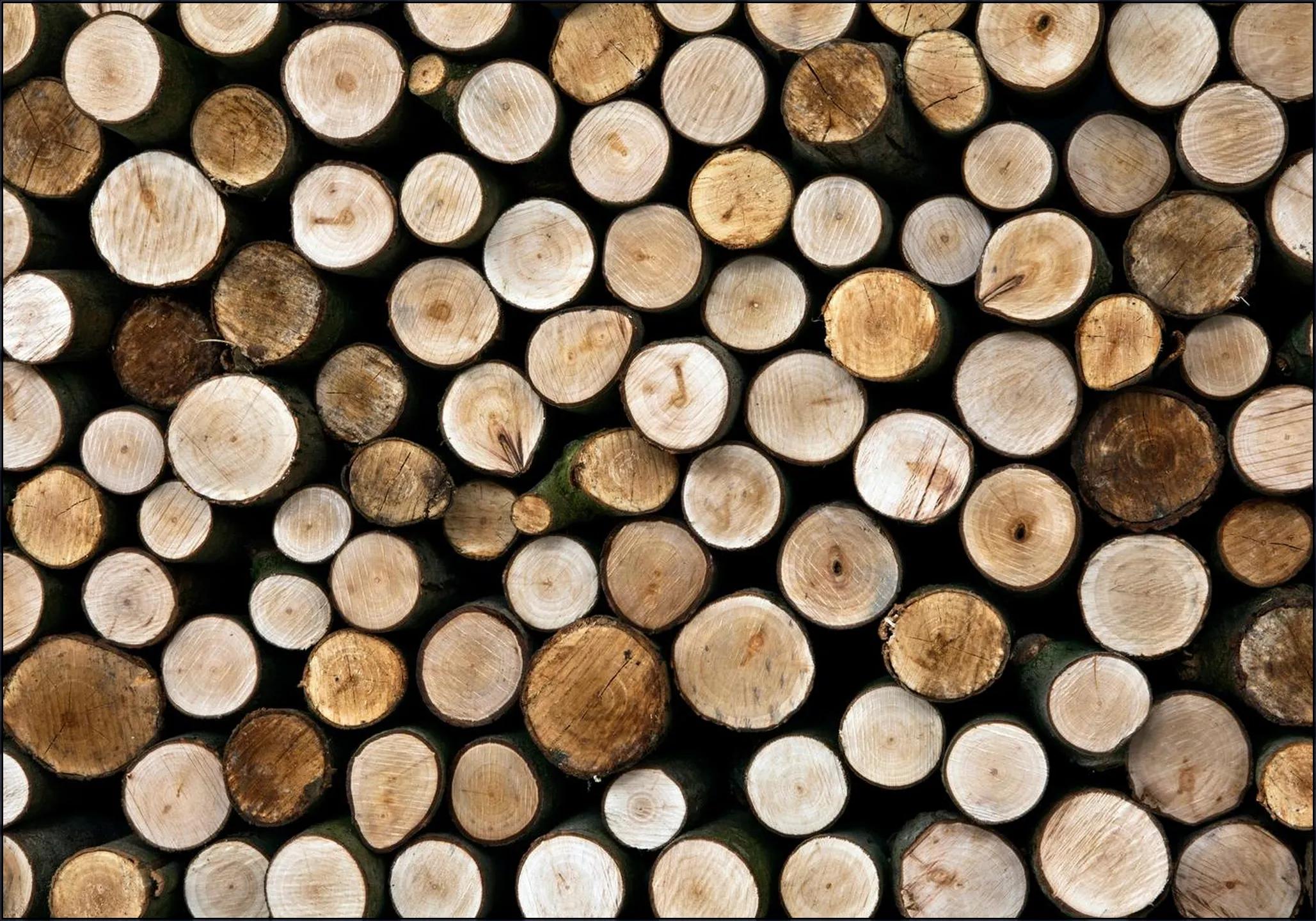 Wood