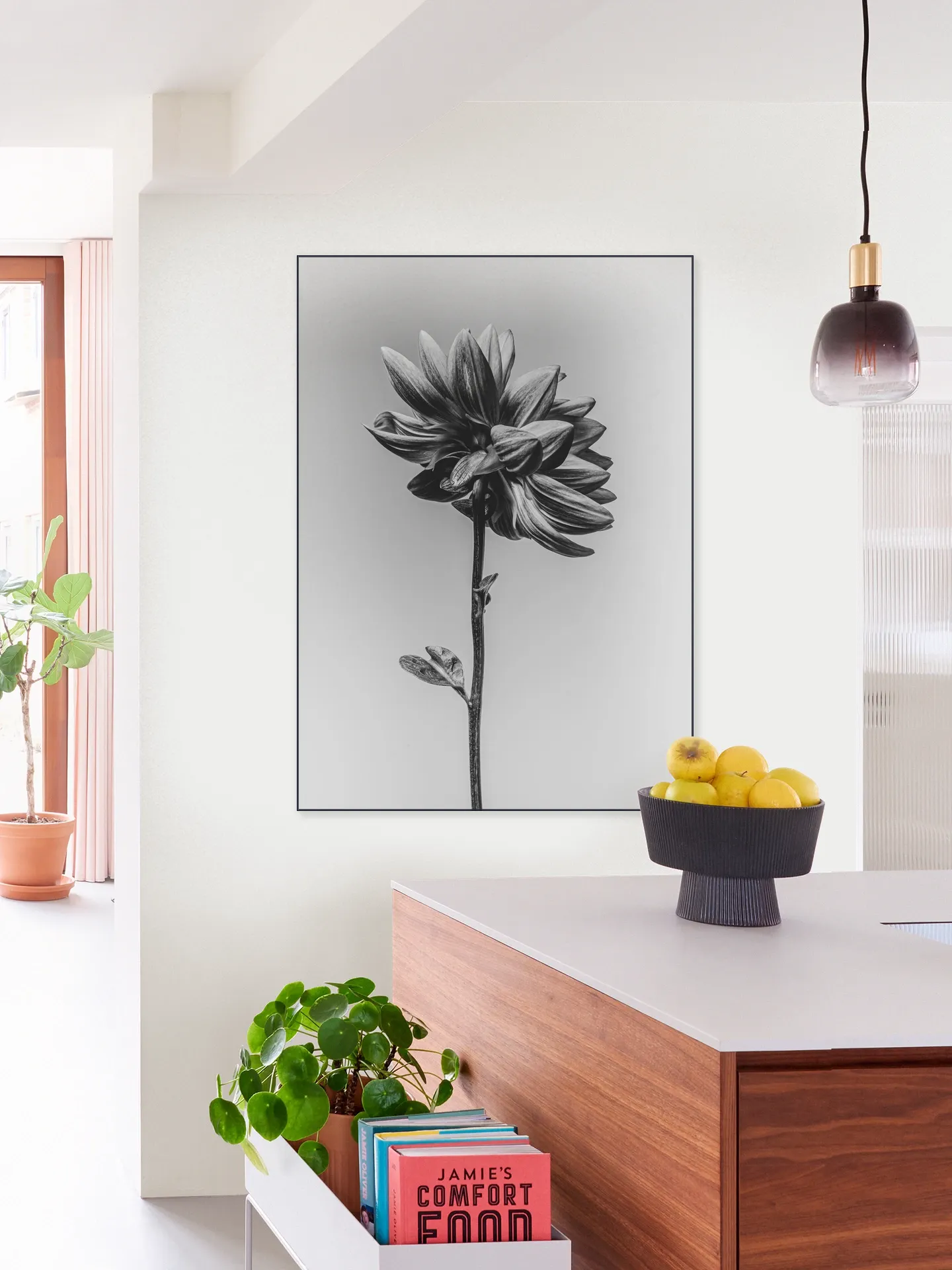 Dahlia