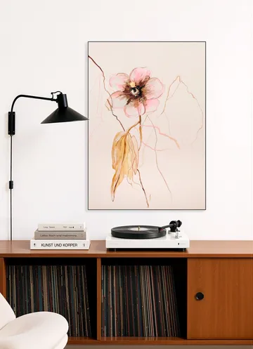 Flower Study Hibiscus Syriacus
