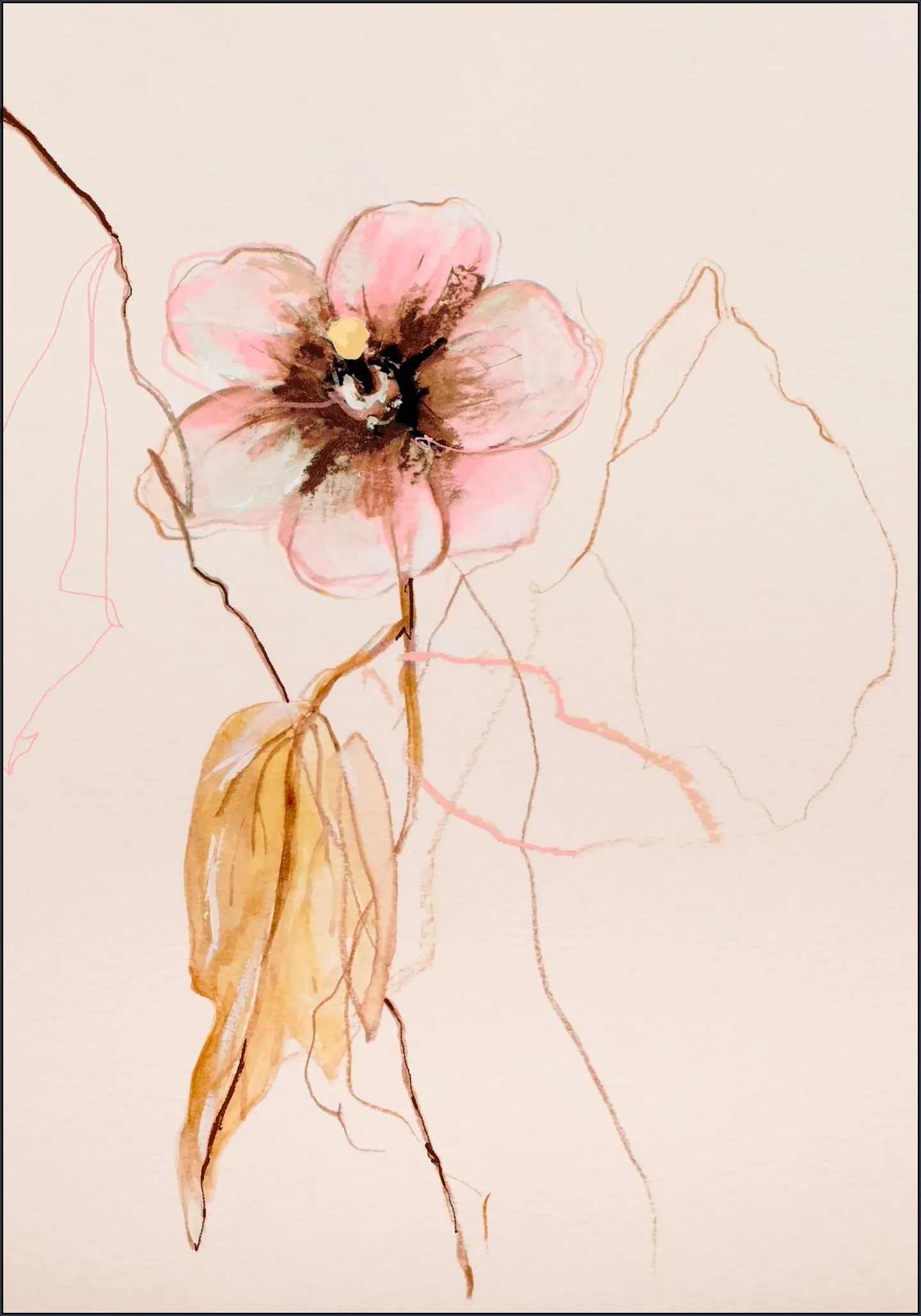 Flower Study Hibiscus Syriacus