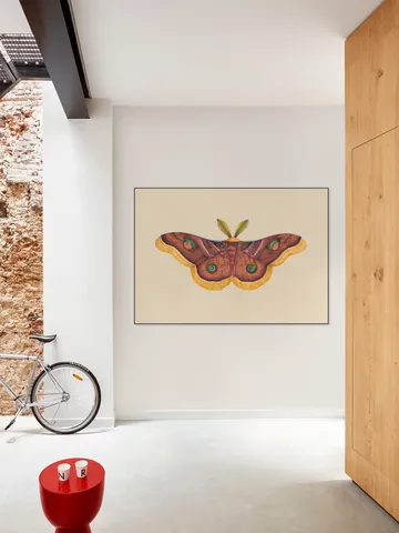 Butterfly Effect