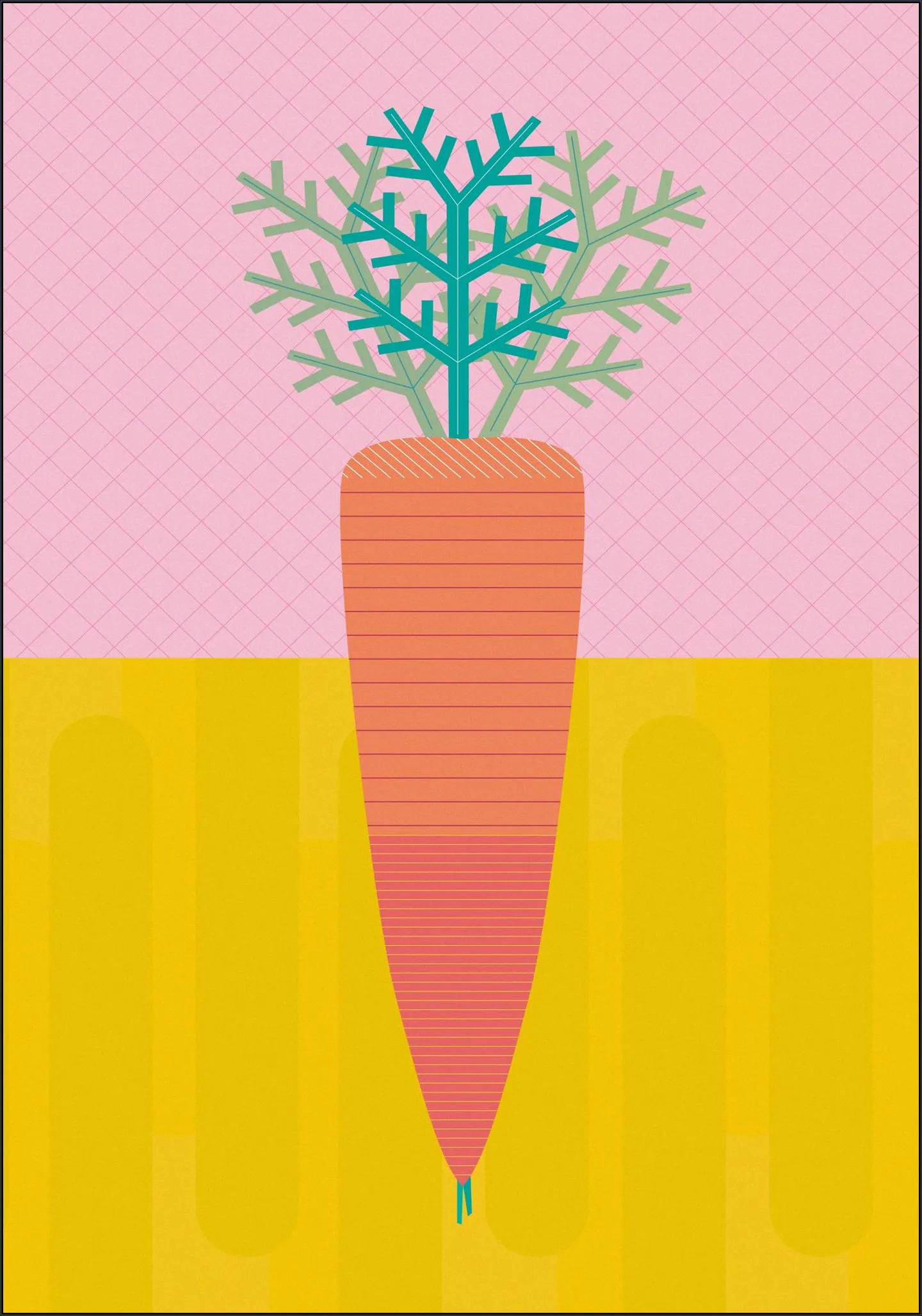 Carrot