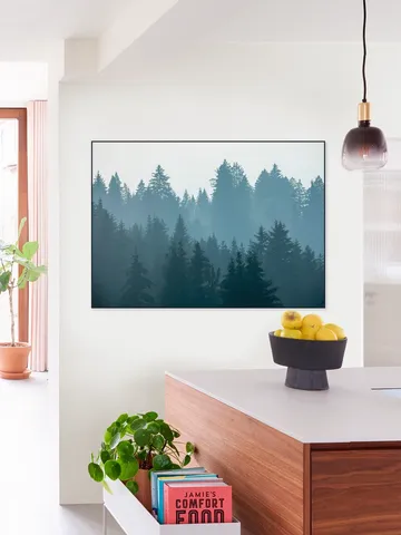 Mystical Forest