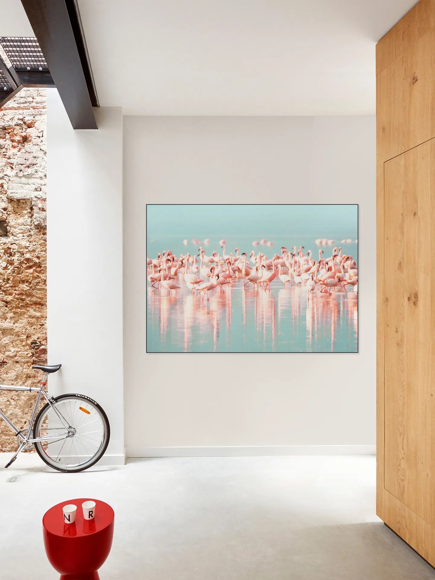 Flamingos
