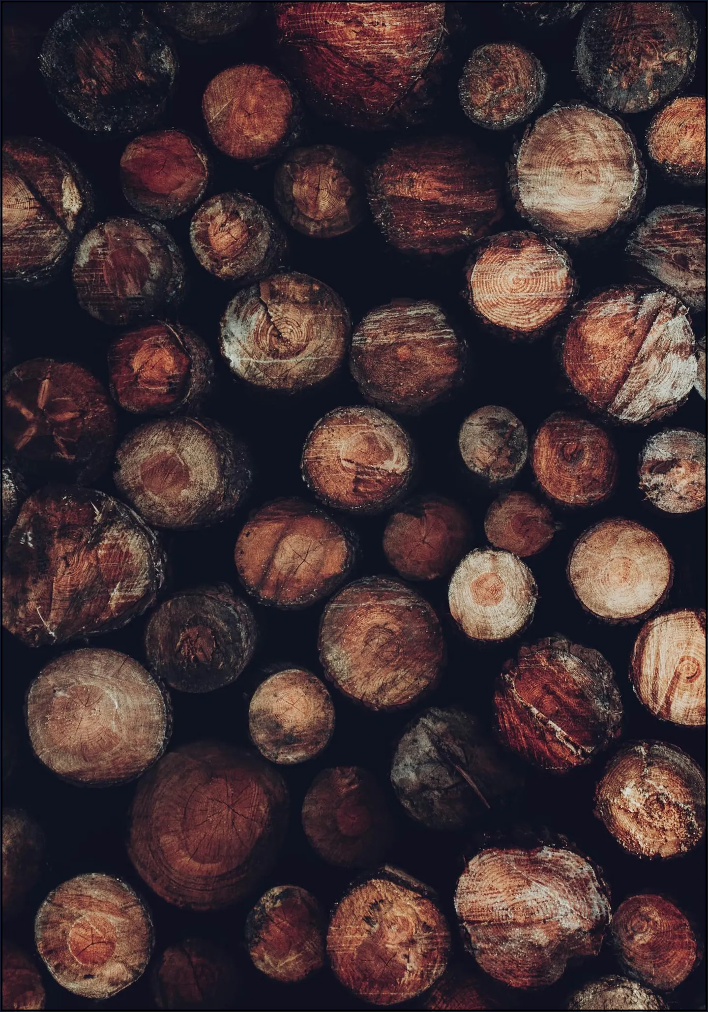 Stacked Timber Wood Logs