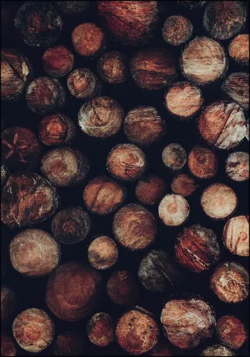 Stacked Timber Wood Logs
