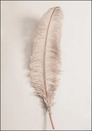 Feather