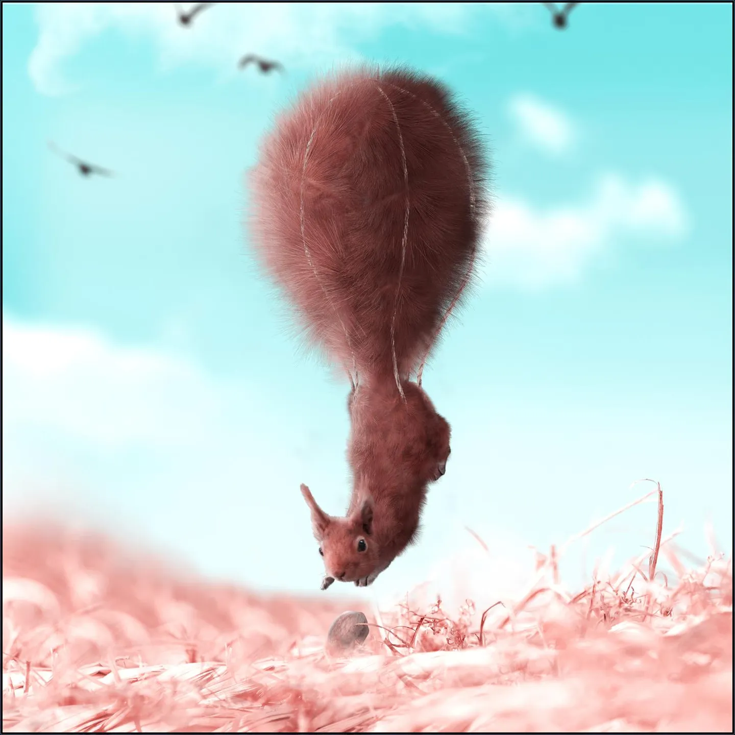 Puffy