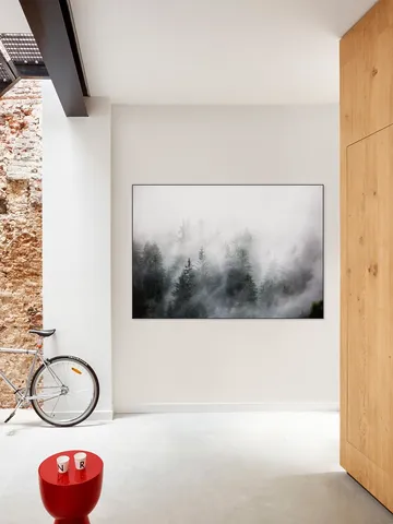 Foggy Woods 6