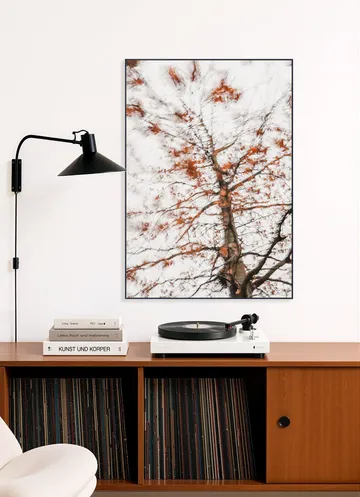 Autumn Tree