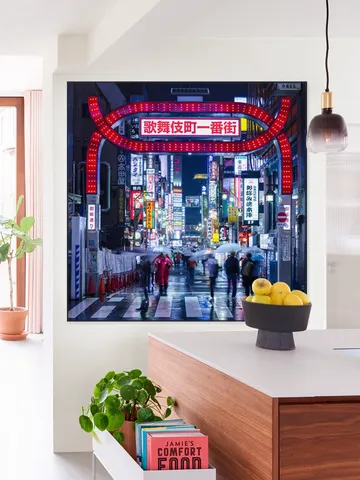 Kabukicho Nightlife District - Tokyo
