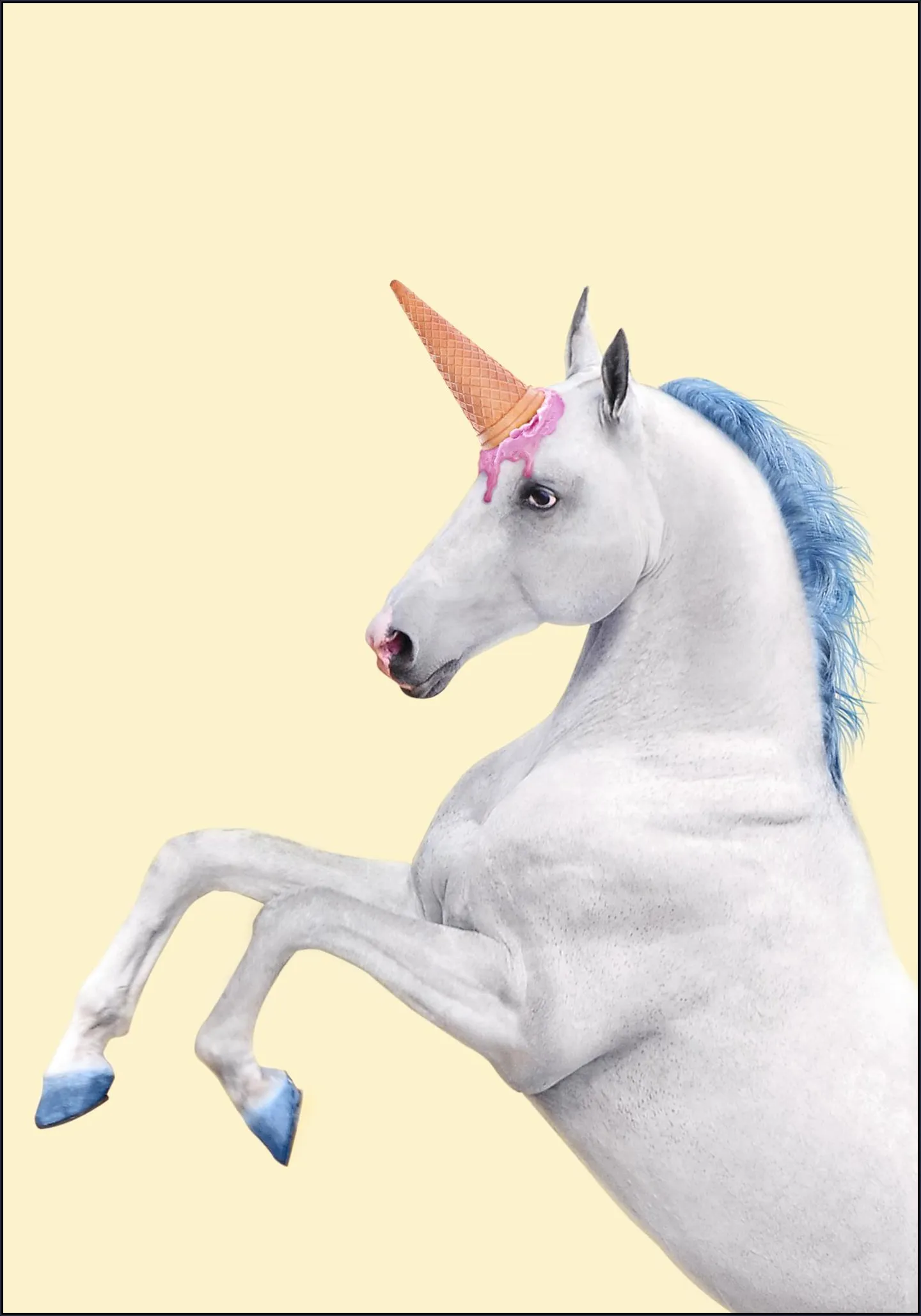 Unicorn